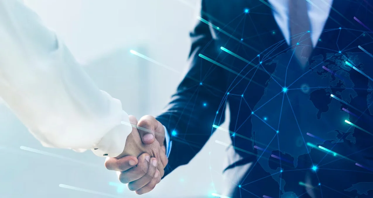 Bilgi ve Danışmanlık